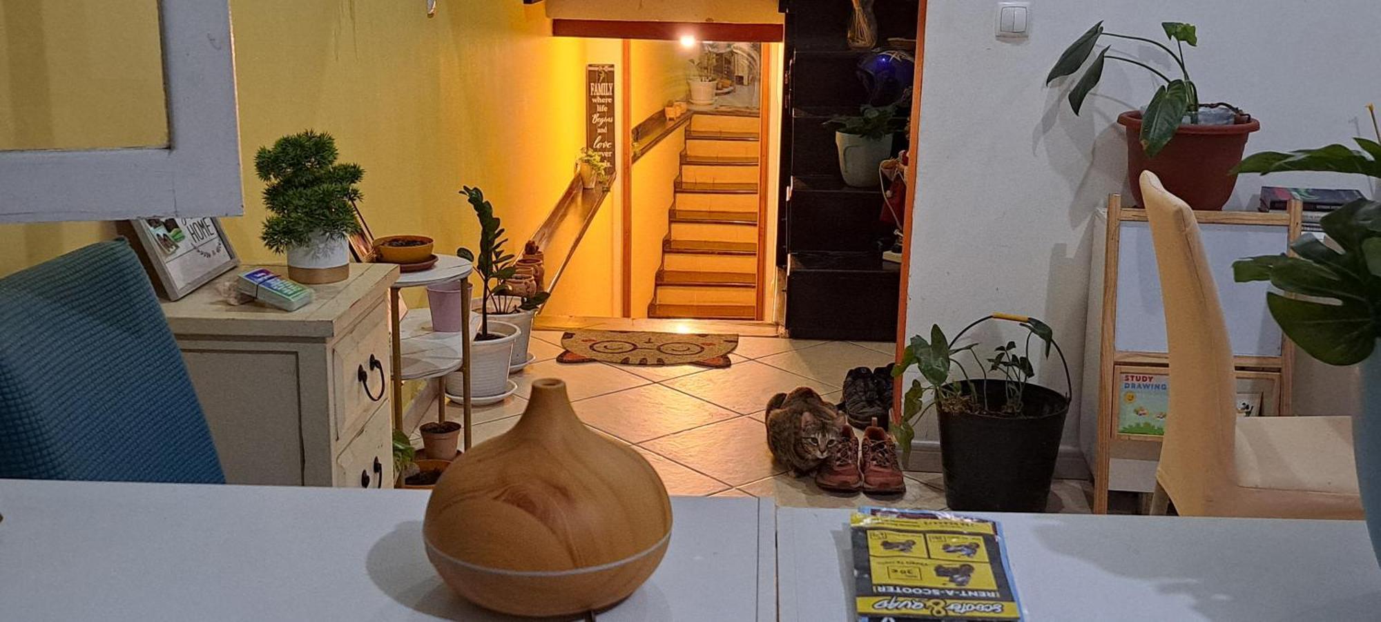 Mendes Family Homestay - B&B In The Heart Of Прайя Экстерьер фото